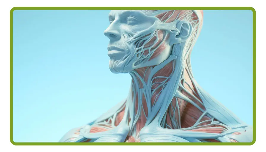 Acupuncture for the Athlete Image